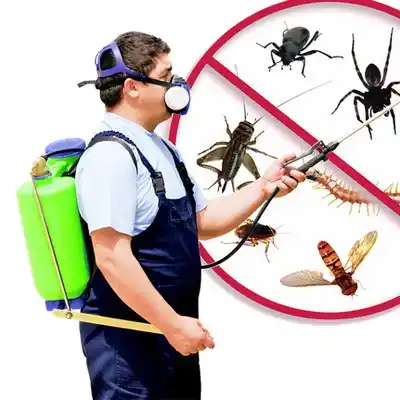 pest control Toledo